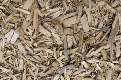 biomass boilers Littlemill